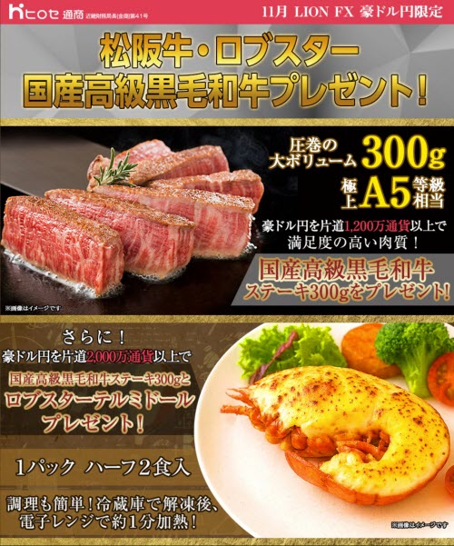 ヒロセ通商[LION FX]