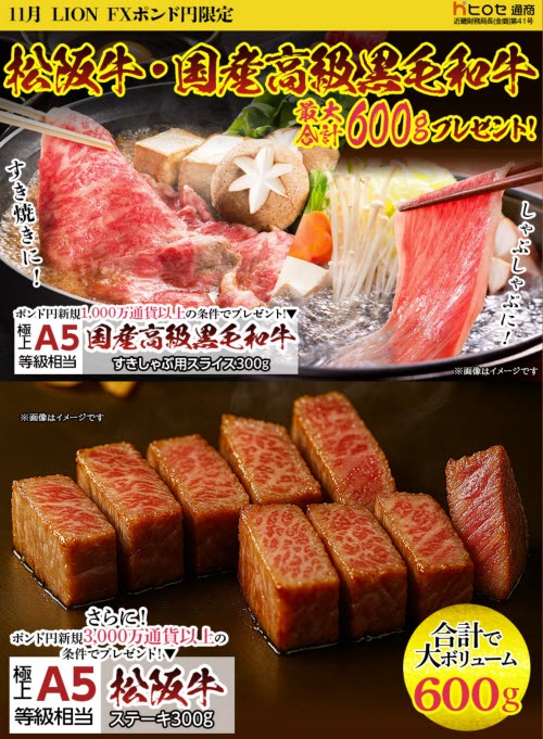 ヒロセ通商[LION FX]