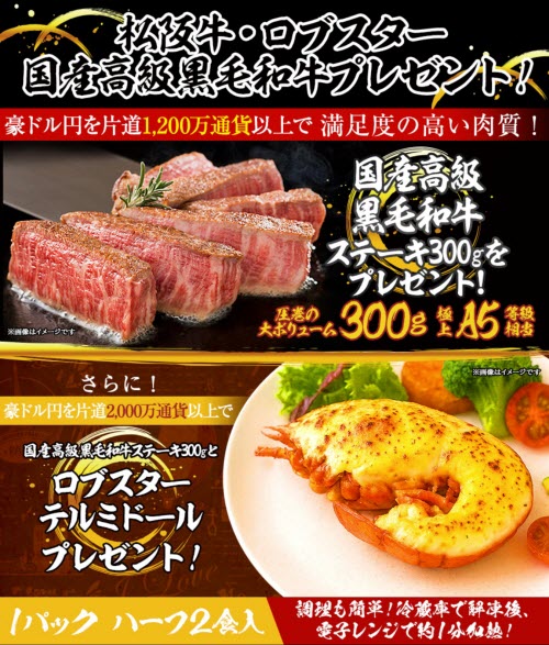 ヒロセ通商[LION FX]