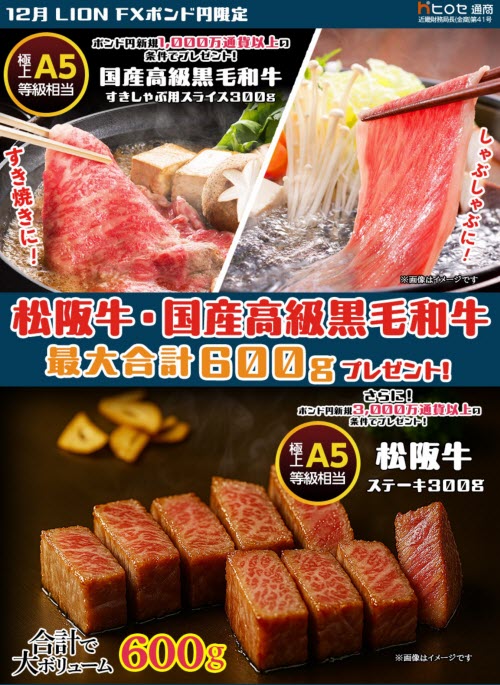 ヒロセ通商[LION FX]