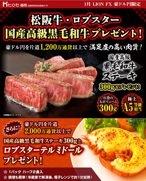 ヒロセ通商[LION FX]