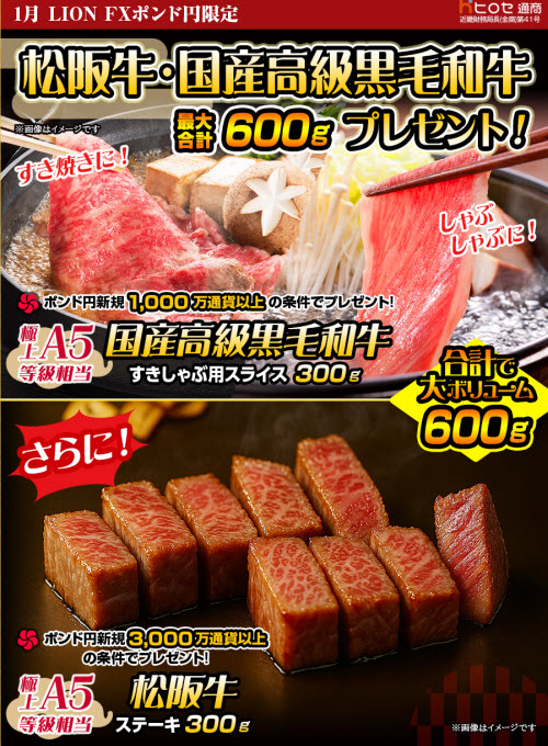 ヒロセ通商[LION FX]