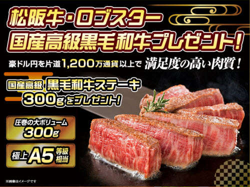 ヒロセ通商[LION FX]