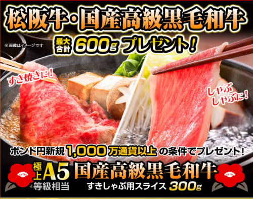 ヒロセ通商[LION FX]