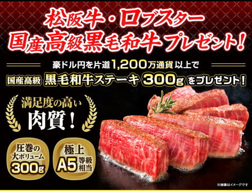 ヒロセ通商[LION FX]