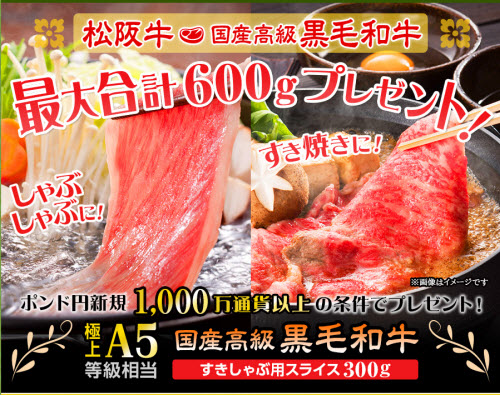 ヒロセ通商[LION FX]