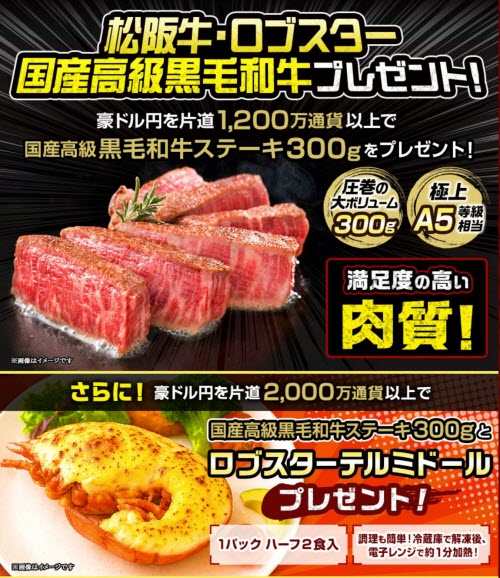 ヒロセ通商[LION FX]