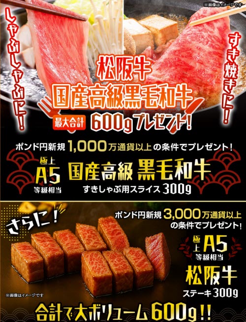 ヒロセ通商[LION FX]