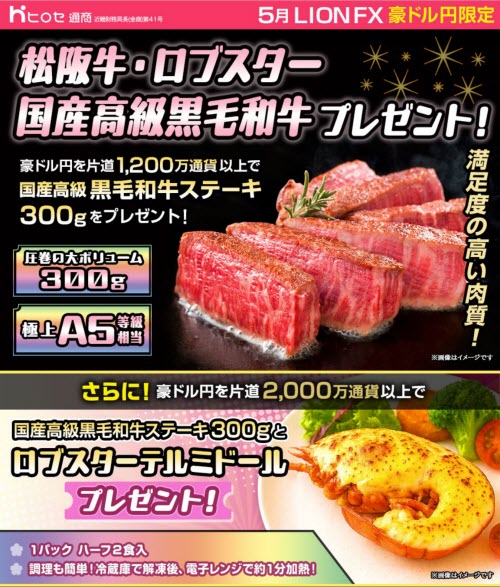 ヒロセ通商[LION FX]
