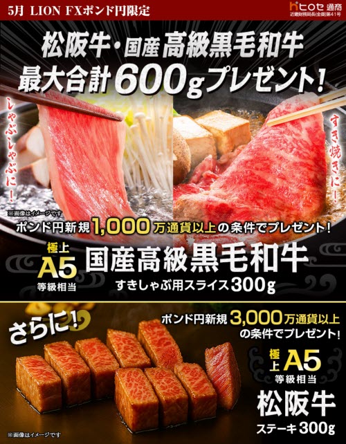 ヒロセ通商[LION FX]