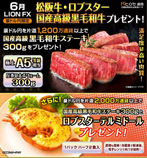 ヒロセ通商[LION FX]