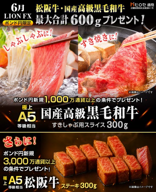 ヒロセ通商[LION FX]