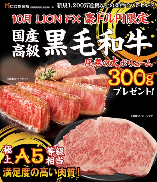 ヒロセ通商[LION FX]