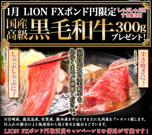 ヒロセ通商[LION FX]