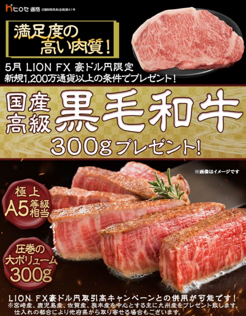 ヒロセ通商[LION FX]