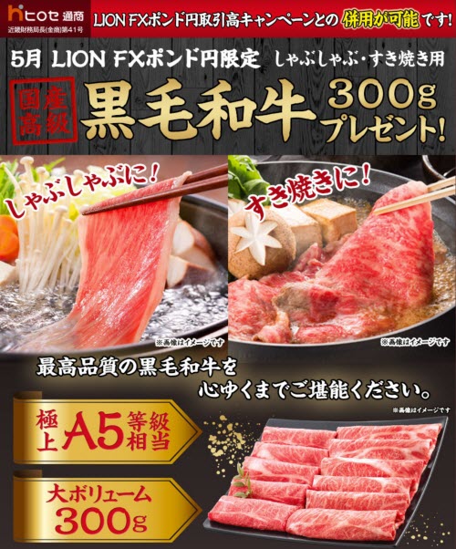 ヒロセ通商[LION FX]