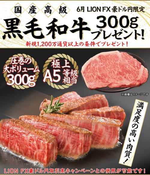 ヒロセ通商[LION FX]