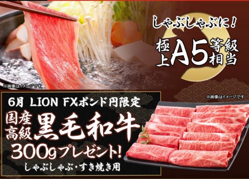 ヒロセ通商[LION FX]