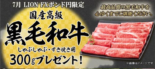 ヒロセ通商[LION FX]