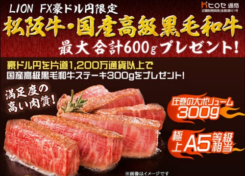 ヒロセ通商[LION FX]
