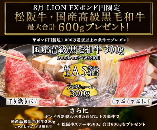 ヒロセ通商[LION FX]