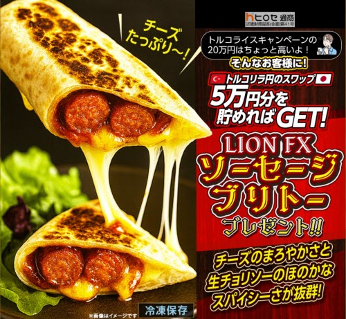 ヒロセ通商[LION FX]