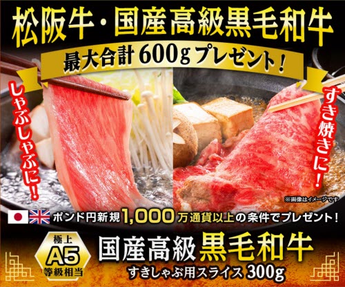 ヒロセ通商[LION FX]
