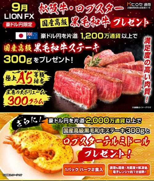 ヒロセ通商[LION FX]