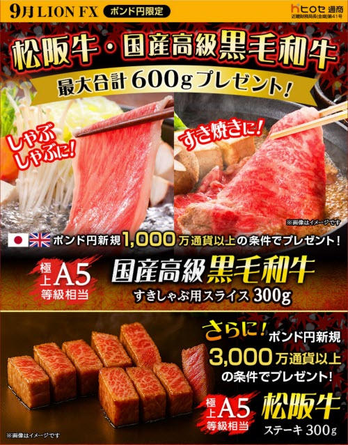 ヒロセ通商[LION FX]