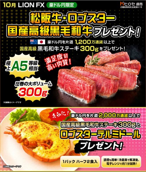 ヒロセ通商[LION FX]