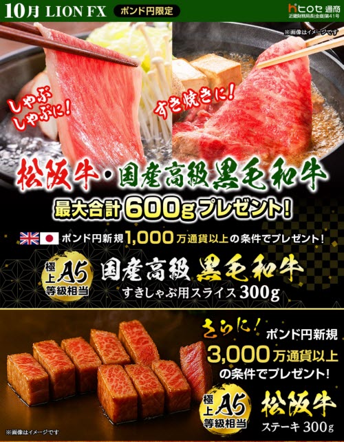 ヒロセ通商[LION FX]