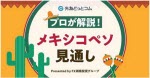 マネ育メキシコペソ見通し