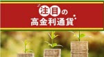 マネ育注目の高金利通貨